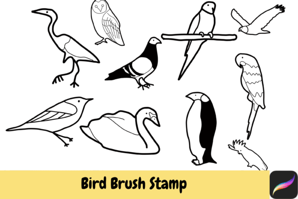 Evaluating Bird Brush Stamps for Procreate on iPad